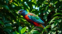 bird thought extinct rediscovered