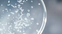 microplastics in human fluids