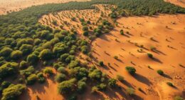 africa s green wall initiative
