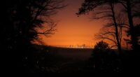 fireflies light pollution impact