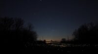 firefly populations decline globally