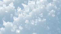 microplastics in snow