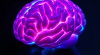 neuroscience insights on dreaming