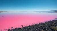 pink lakes indicate ecological change