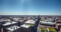 reflective roofs reduce heat