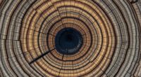 tree rings reveal blast