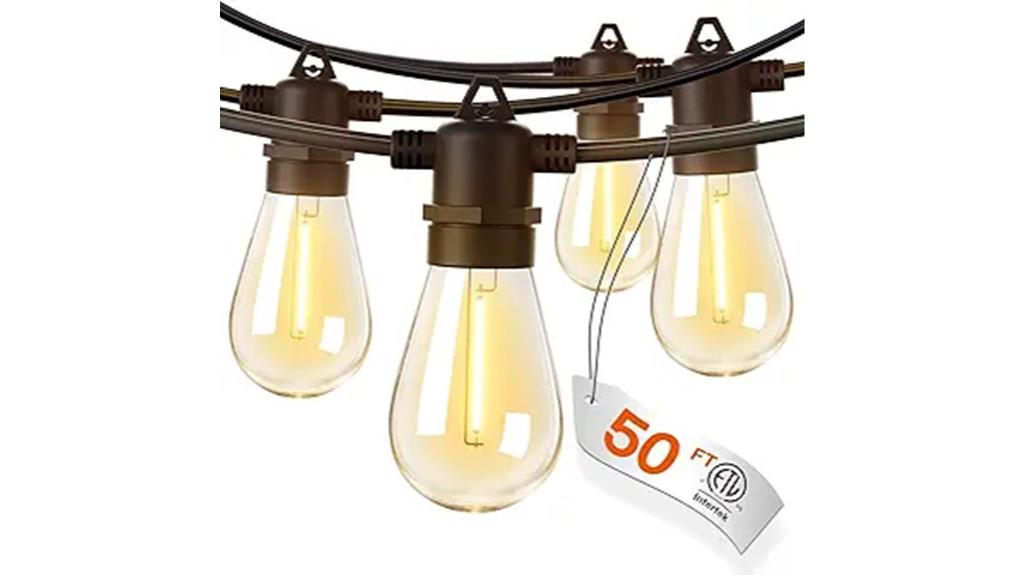 50 foot edison string lights