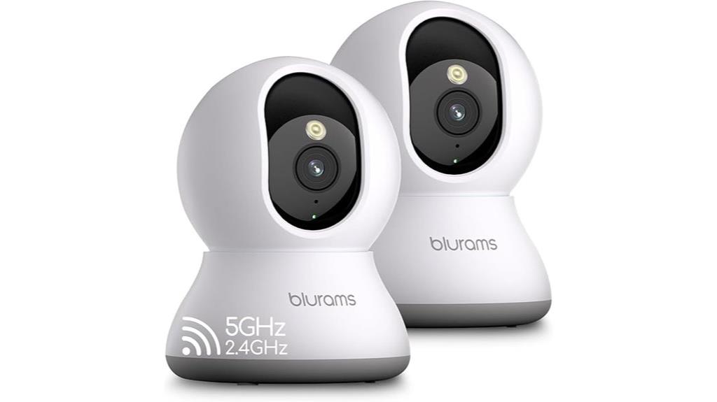 dual camera security system