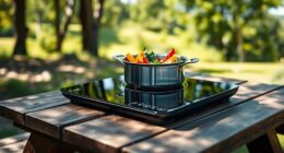 top portable induction cooktops
