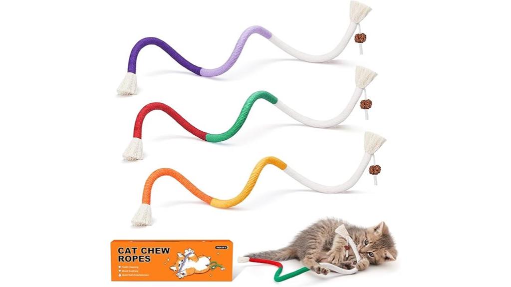 catnip chew toy set