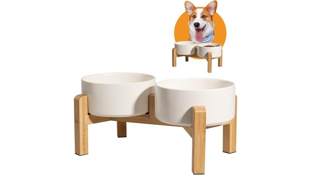 ceramic dog bowl set