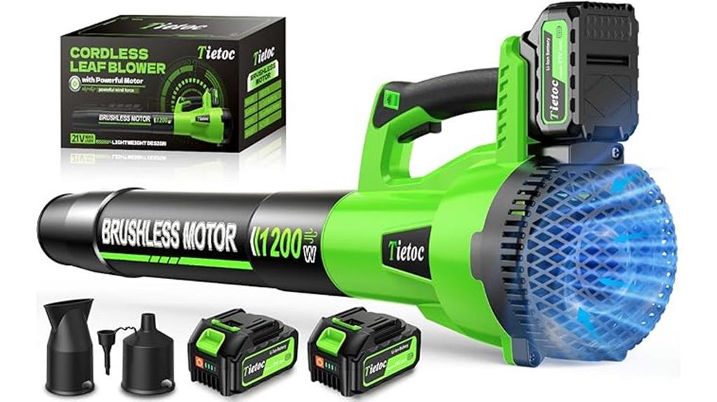 cordless leaf blower set