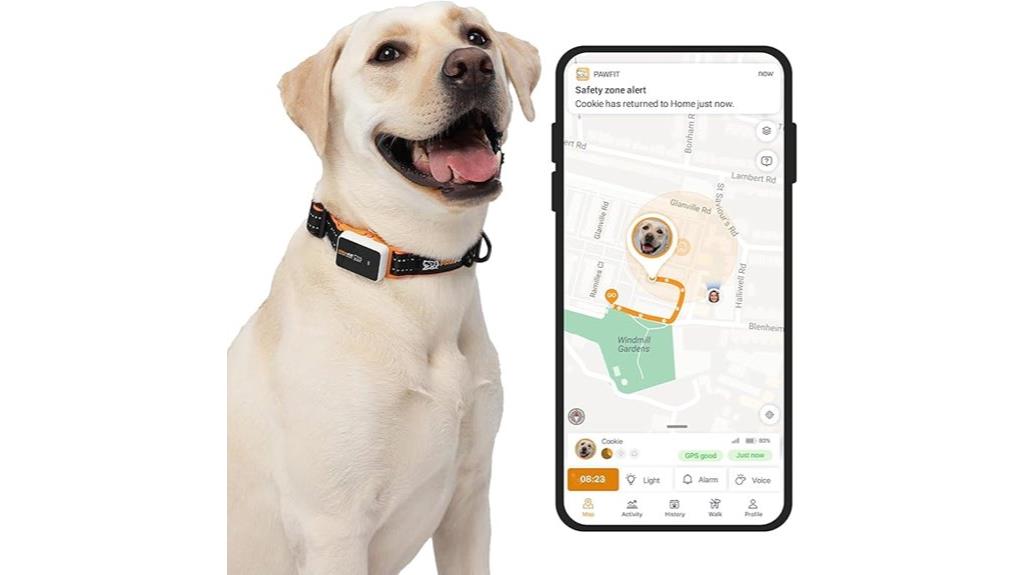 dog gps live tracking