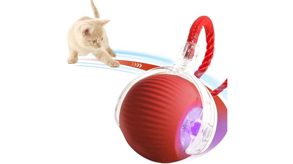 engaging toys for indoor cats