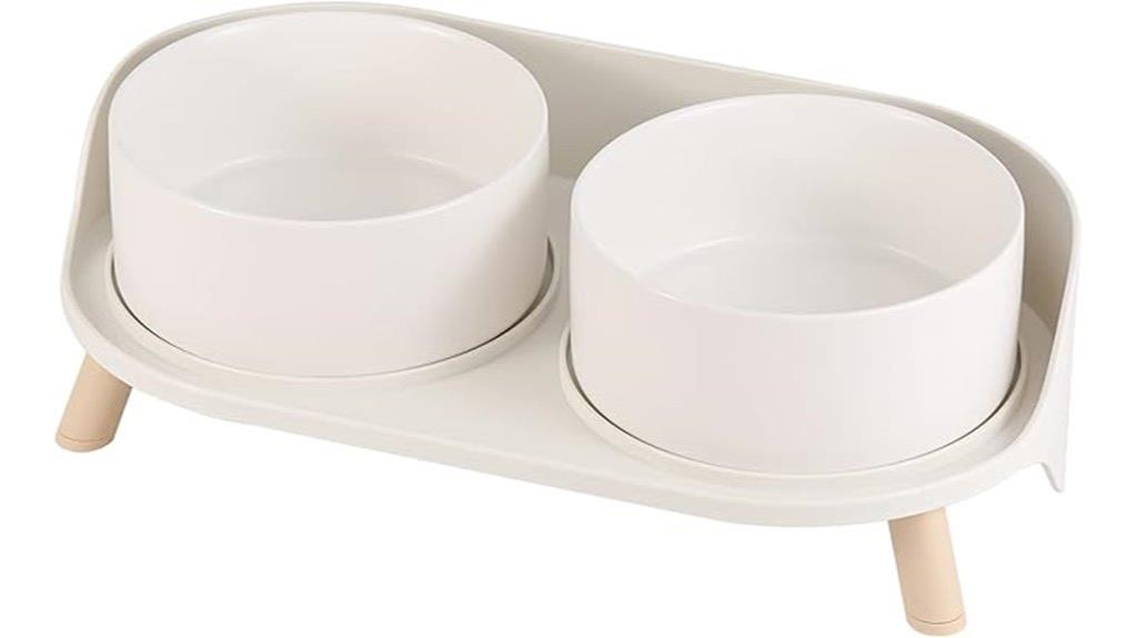 raised ceramic dog bowls