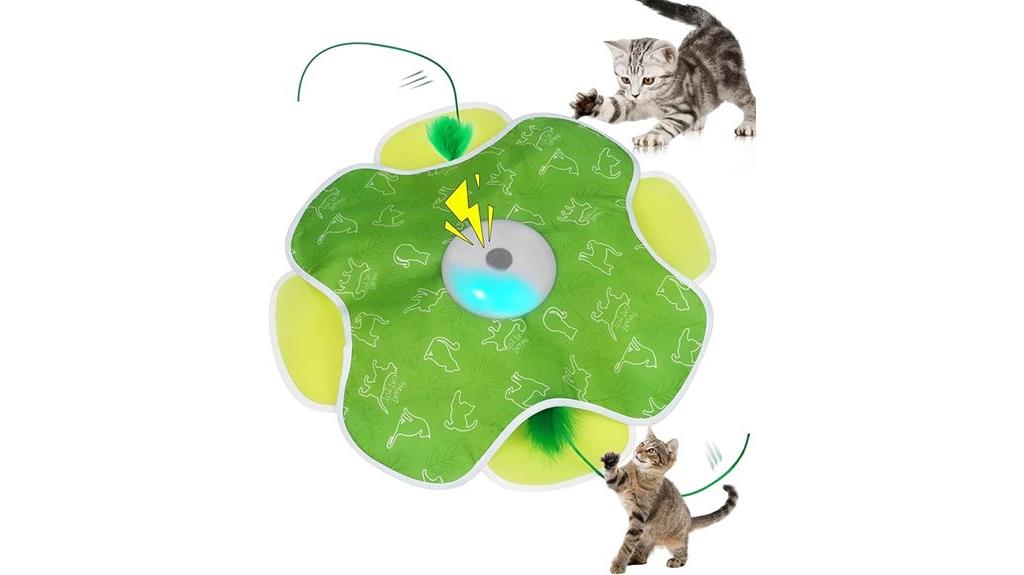 rechargeable indoor cat toy