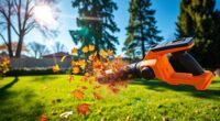 top cordless leaf blowters