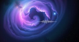 new observations seek wow signal