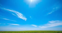 ozone expected to recover