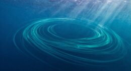 global ocean circulation system