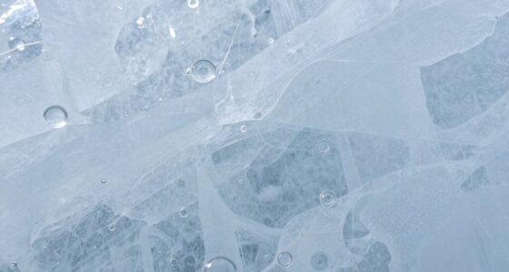 ice bubbles reveal climate