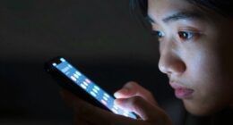 neuroscience of reward cycles