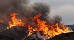 wildfires are changing behavior