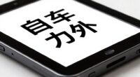 accessible visual display technology