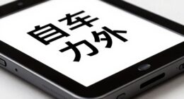 accessible visual display technology
