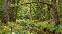 biodiversity ensures ecosystem stability