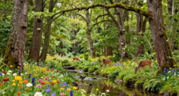 biodiversity ensures ecosystem stability