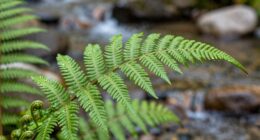 biological basis of recovery