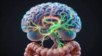 brain gut communication connection