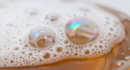 chemical reactions break down germs