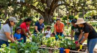 community led conservation success