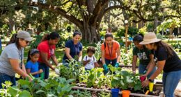 community led conservation success