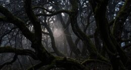 complex and elusive clues