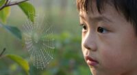 enjoying curiosity driven learning