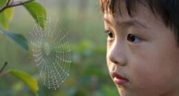 enjoying curiosity driven learning