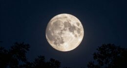 moon illusion creates apparent size