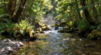 secrets beneath flowing waters