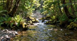 secrets beneath flowing waters