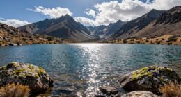 water is essential for life