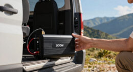 11 Best Pure Sine Wave Inverters 3000W in 2026