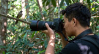 15 Best Telephoto Lenses for Wildlife Photography in 2026