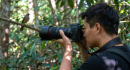 15 Best Telephoto Lenses for Wildlife Photography in 2026