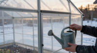 7 Best Polycarbonate Greenhouses for Cold Climates in 2026