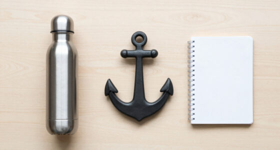 Anchor. The Schwarz Group model.