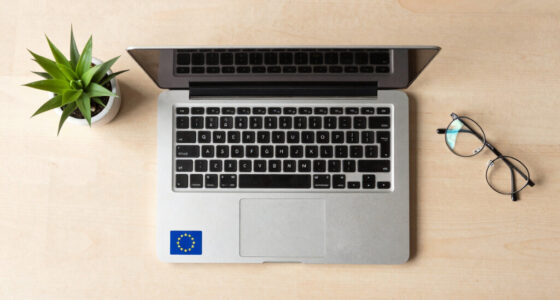 The European Union: Rules First, Cushion Always