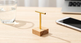 Capital: The Lever Beneath the Levers